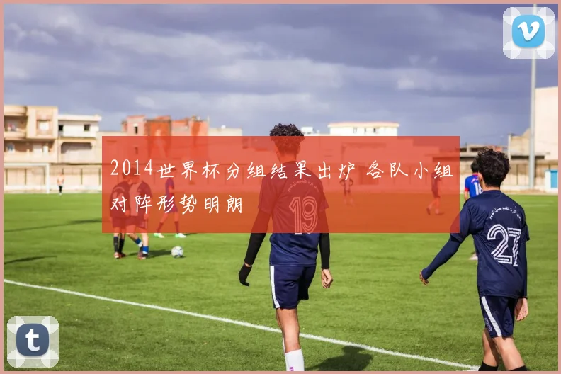 2014世界杯分组结果出炉 各队小组对阵形势明朗