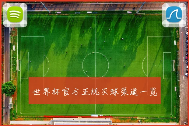世界杯官方正规买球渠道一览