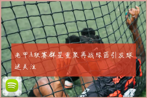 老甲A联赛群星重聚再战绿茵引发球迷关注