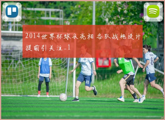2014世界杯球衣亮相 各队战袍设计提前引关注_1