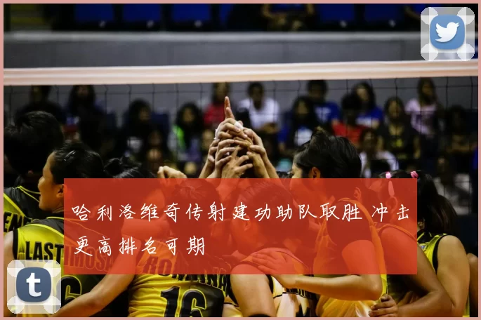 哈利洛维奇传射建功助队取胜 冲击更高排名可期