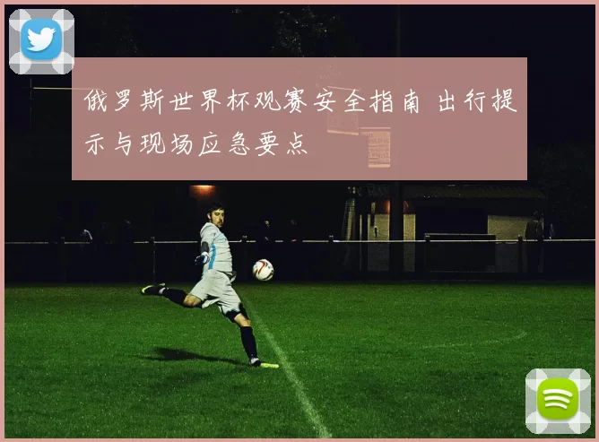 俄罗斯世界杯观赛安全指南 出行提示与现场应急要点