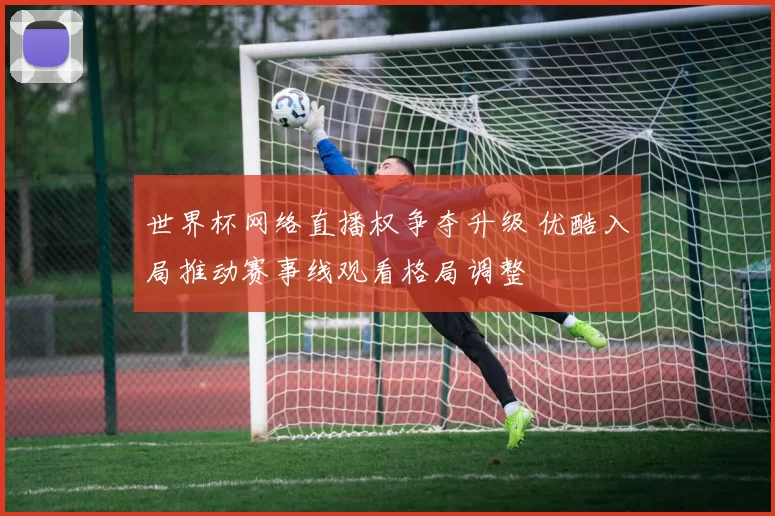 世界杯网络直播权争夺升级 优酷入局推动赛事线观看格局调整